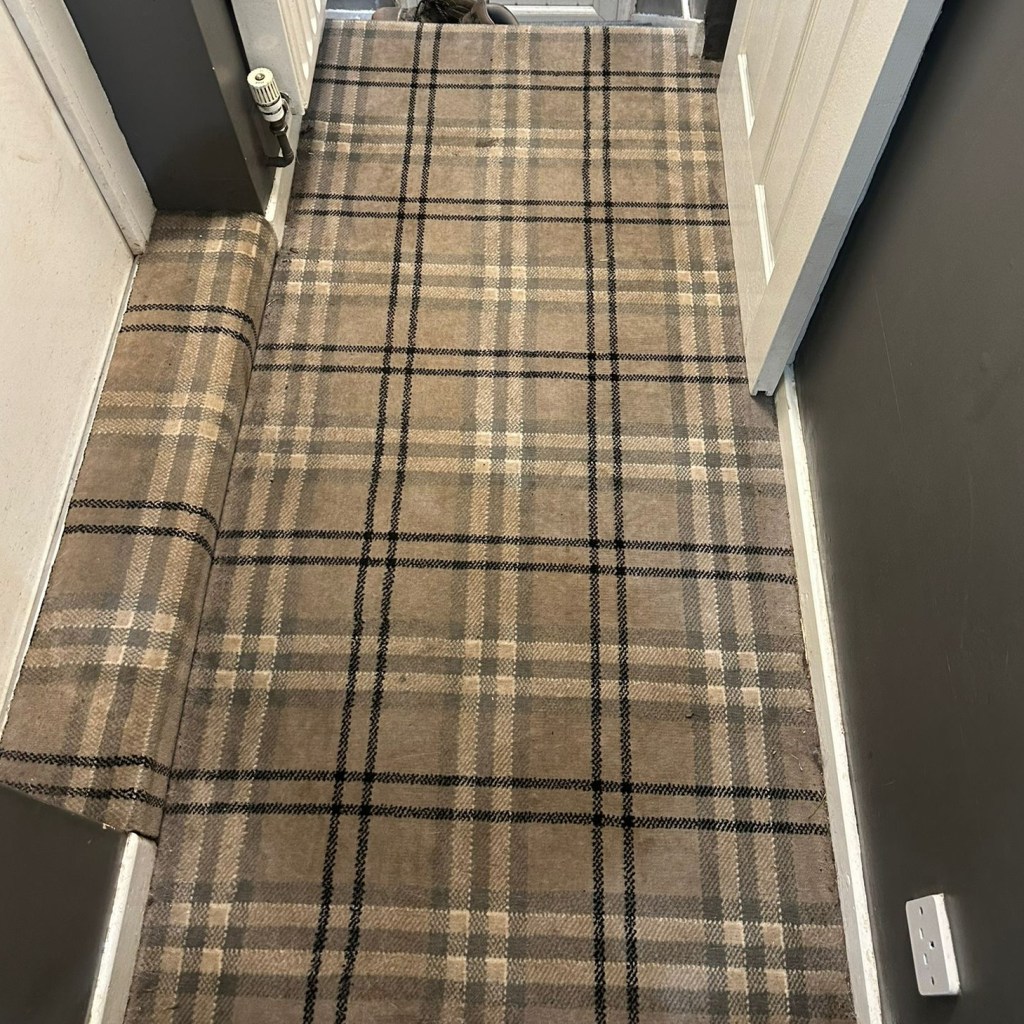 check carpet dirty with marks and discoloured before cleaning